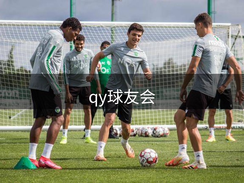 公司实力